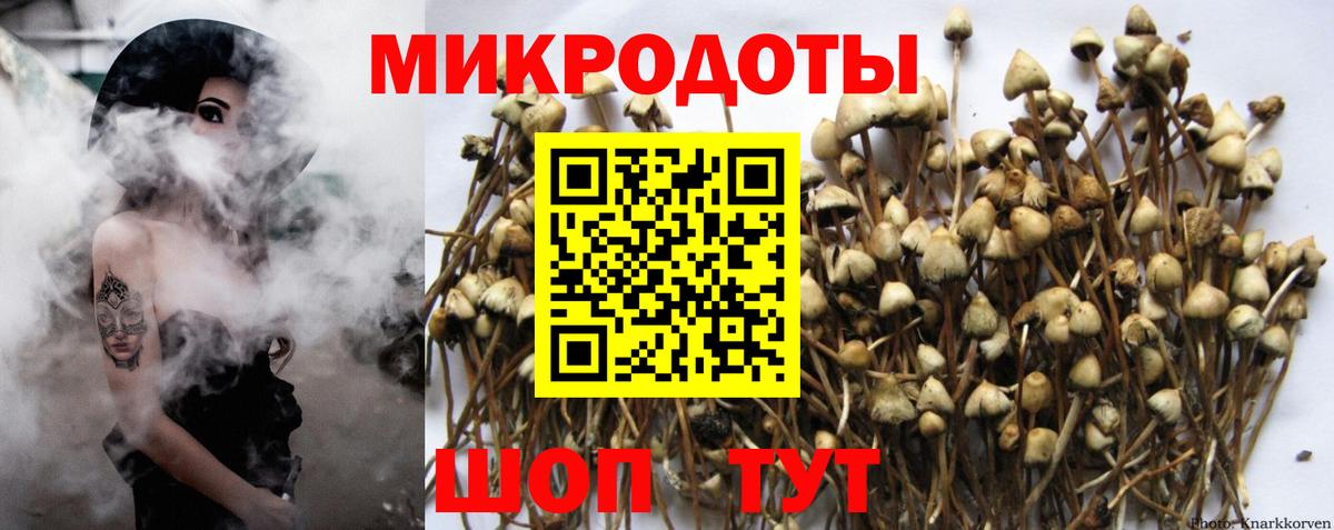 цена   Вход с VPN  Самара  Галлюциногенные грибы мухоморы 